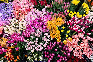 《名侦探皮卡丘》一周年纪念活动重磅消息结果就这？